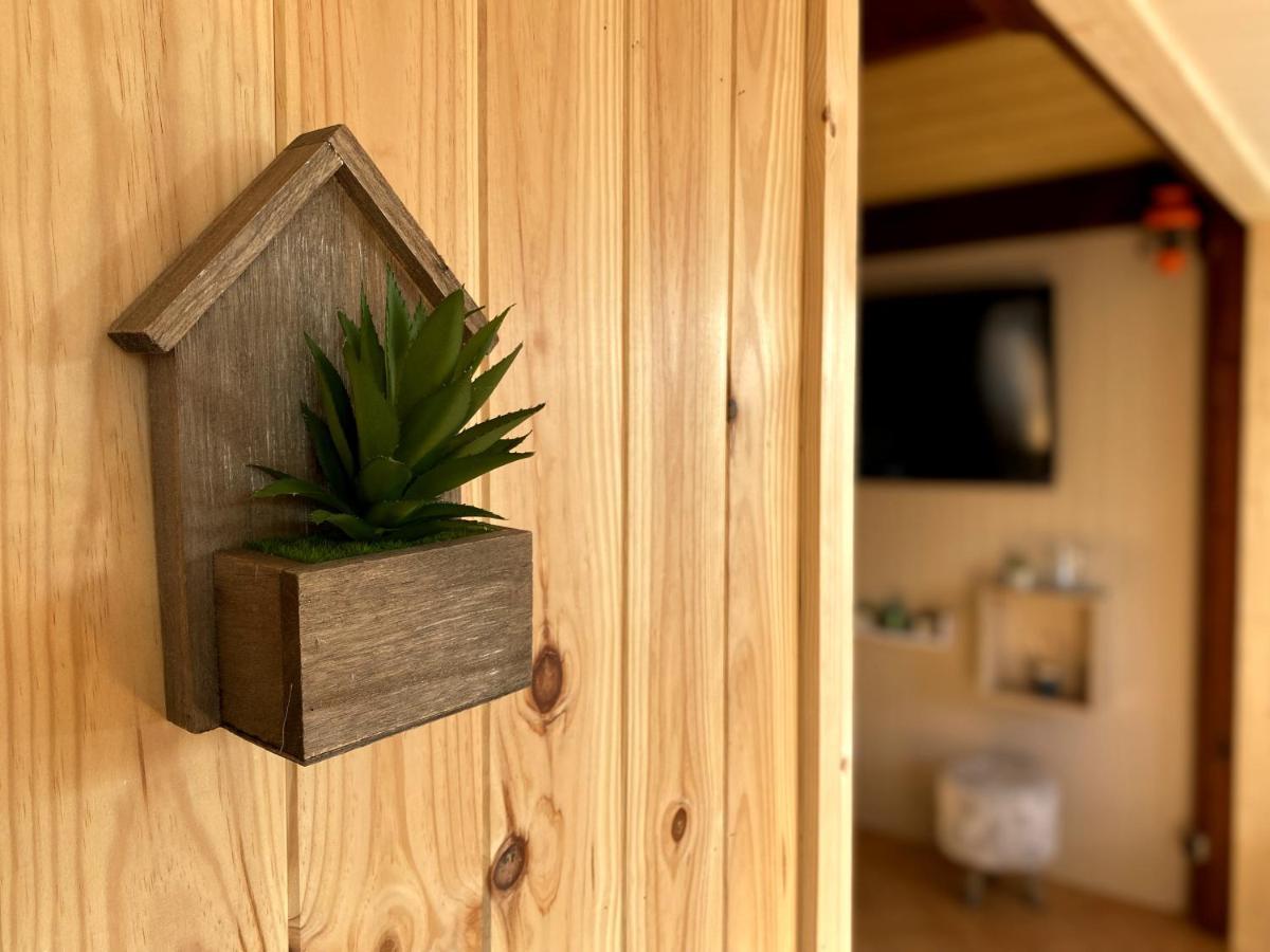 Chaleureux Chalet En Bord De Mer Merville-Franceville-Plage Bagian luar foto